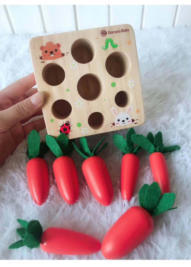 Educational Carrot Farm Toys Bleuribbon