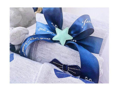 Newborn Boy Baby Clothes Set Gift Box Perfect Autumn and Winter Essentials BleuRibbon Baby