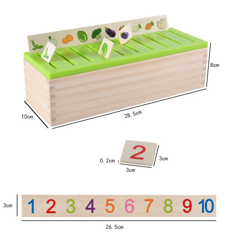 BleuRibbon Baby Knowledge Classification Box – Wooden learning toy for toddlers, 11.8 in x 4.33 in